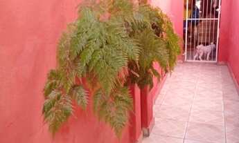 Imagem 2: CASA RESIDENCIAL em Resende - RJ, Centro