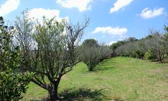 Imagem 3: Fazenda/Sítio/Chácara para venda tem 150 metros quadrados com 3 quartos