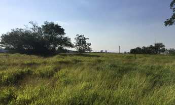 Imagem 3: Terreno para aluguel, Cooperativa - São Bernardo do Campo/SP