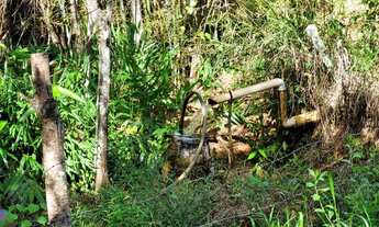 Imagem 4: Sítio para Venda em Uberlândia, Centro, 3 dormitórios, 1 suíte, 3 banheiros