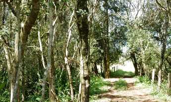 Imagem 7: Fazenda/Sítio/Chácara para venda tem 150 metros quadrados com 3 quartos