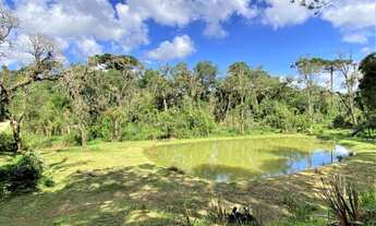 Imagem 5: Chácara com 3 dormitórios à venda, 7636 m² por R$ 700.000,00 - Faxina - São José dos Pinha