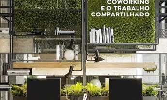 Imagem 7: Lançamento VINHEDOS