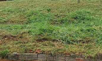 Imagem 2: Terreno para Venda em Sorocaba, Jardim Pagliato