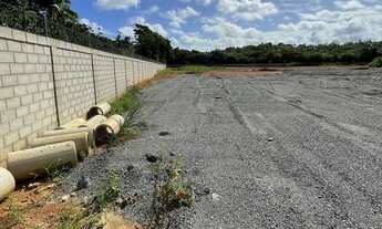 Imagem 4: Excelente área com 22.000m2, murado com concertina, plano (terraplanagem), sistema de dren