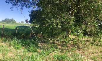 Imagem 4: SITIO COM 10 ALQ. - LINDO ! MONTADO , NA BEIRA DA PISTA , CULTURA E PECUÁRIA - AURIFLAMA