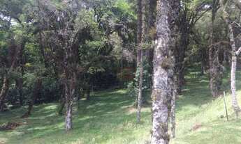 Imagem 3: Terreno no Condomínio Altos Pinheiros em Canela!