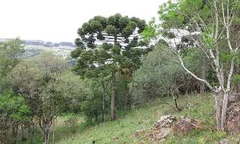 Imagem 3: Casa na Barragem do Salto em São Francisco de Paula
