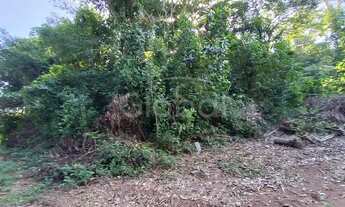 Imagem 4: Área de Terras Zona Rural Nova Hartz