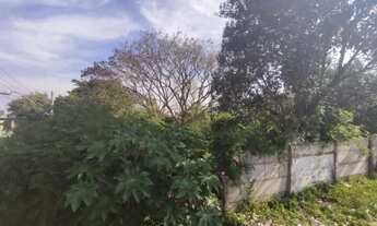 Imagem 4: Terreno para Venda - 0m², 0 dormitórios, Cristal