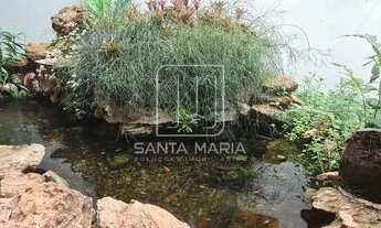 Imagem 6: Casa (térrea na rua) 4 dormitórios/suite, cozinha planejada