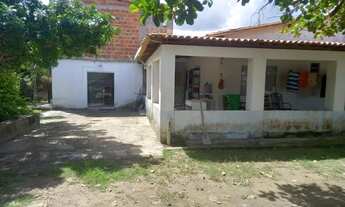 Imagem 2: Vende-se Sítio - Inhambupe - Bahia