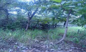 Imagem: Pertinho de Lagoa Santa, linda chácara