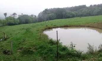 Imagem 2: Chácara pronta,7,7 hectares valor 300,000,00