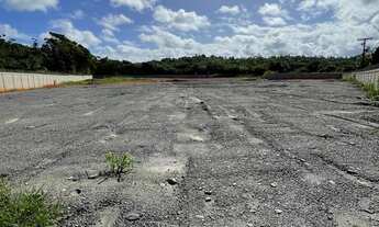 Imagem 2: Excelente área com 22.000m2, murado com concertina, plano (terraplanagem), sistema de dren