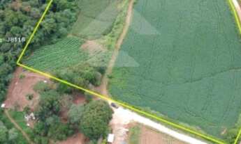 Imagem: Área Rural 29.116m de plantio a Venda no