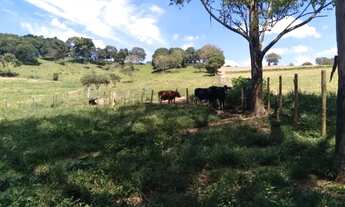 Imagem 6: Sítio no Sul de Minas Gerais