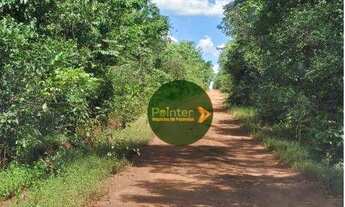 Imagem 4: Fazenda à venda, 1.248 hectares por R