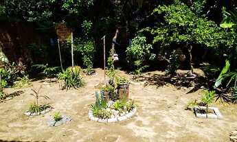 Imagem: Vendo casa nas imediações de Cruz de Rebouças