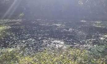 Imagem 4: Velleda oferece belo sítio meio hectare, com açude, na Águas Claras