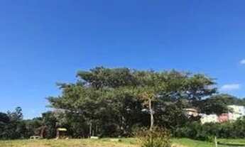 Imagem 13: Terreno em Condominio para Venda - 0m², 0 dormitórios, Campo Novo