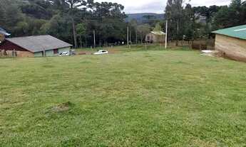 Imagem: Terreno em São Francisco de Paula!