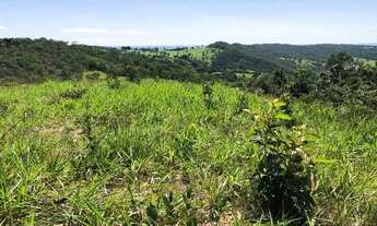 Imagem 6: Fazenda 20 Alqueires -Hidrolândia 62-