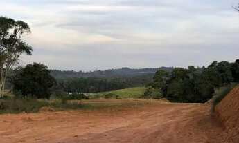 Imagem 4: Madri Residencial / 1000m2 / WhatsApp para contato