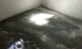 Imagem 6: Casa para alugar