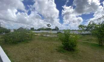 Imagem 2: Doce Vida Parque !