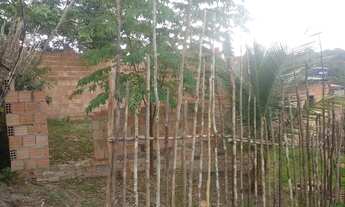 Imagem 4: Casa No precinho 20mil