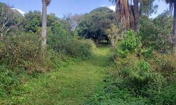 Imagem 6: CHÁCARA DE 8 MIL METROS EM PONTE ALTA - GAMA-DF