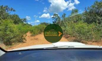 Imagem 2: Fazenda à venda, 1.248 hectares por R