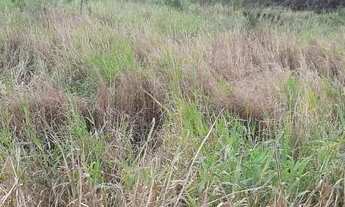 Imagem 5: Terreno Terreno / lote com venda por R$35.000