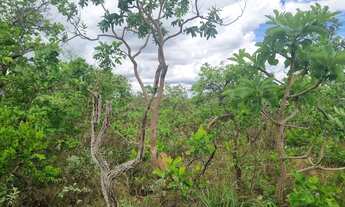 Imagem 4: Fazenda 2.750 hectares valor 8.250.000