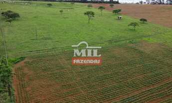 Imagem 2: Chácara 9 alqueires (43 hectares) Leopoldo de Bulhões - Go