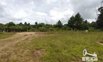 Imagem 3: Área à venda, 21562 m² por R$ 5.600.000 - Campo Largo da Roseira - São José dos Pinhais/PR