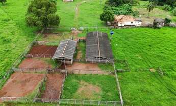 Imagem: Fazenda de 239 alqueires em Doverlandia-GO
