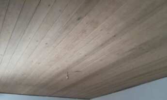 Imagem 5: 6 mil mts com poço casa e pomar topografia plaina