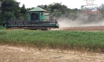 Imagem: Fazenda à venda, em Lucas do Rio Verde