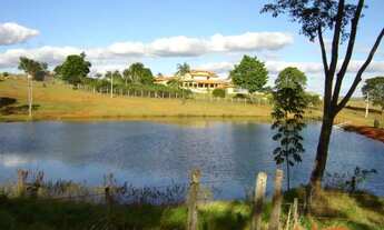 Imagem 6: Fazenda em lavoura 56 alqueires Anápolis-go