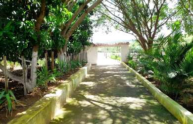 Imagem 16: FAZENDA RURAL em Nova Serrana - MG, Nova Serrana