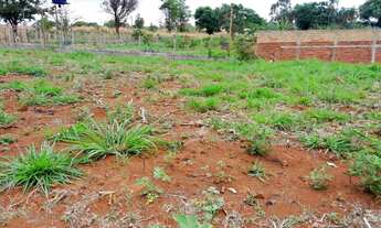Imagem 7: Chácara à 02 km da cidade de Bonfinópolis-Go