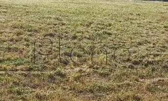 Imagem: Terreno à venda em Campinas, Parque São