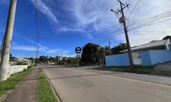 Imagem 4: Terreno a venda 8.500,00m2 Barro Preto- Sao Jose dos Pinhais