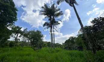 Imagem: Lote 4.000 m² à venda Região dos Aruãs