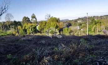 Imagem 6: Terrenos 705 m² Loteamento no Bairro Piá