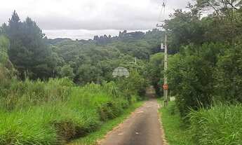 Imagem 6: Vendas Área Colombo PR