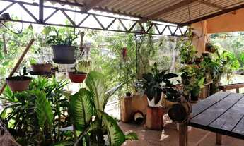 Imagem 5: Chácara 4.500m2 - Diversas Benfeitorias