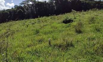 Imagem 5: Chácara na Mulada